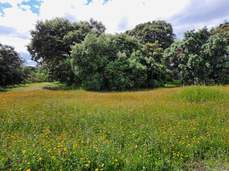 terreno en venta en escalona