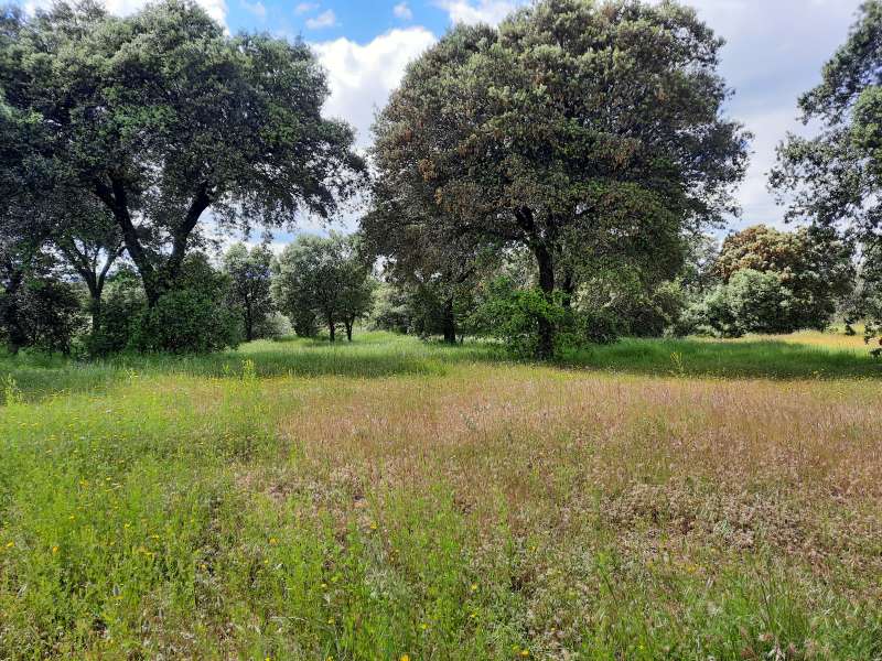 terreno en venta en escalona