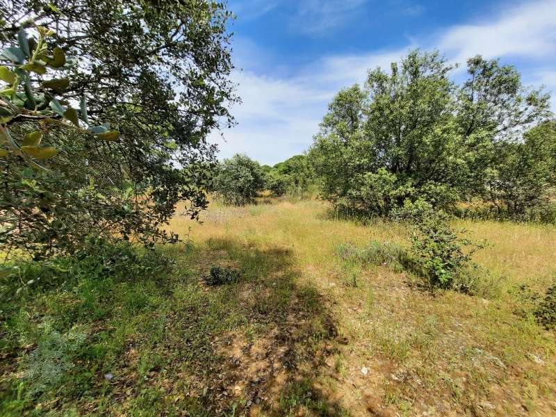 terreno en venta en escalona